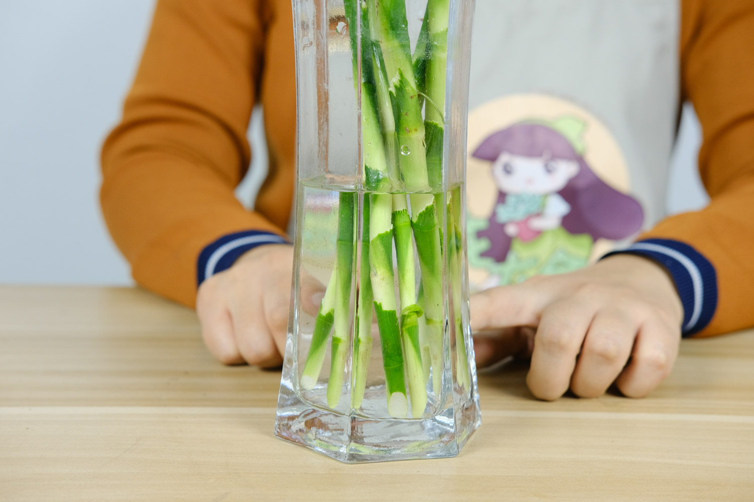 富贵竹叶子黄了怎么办