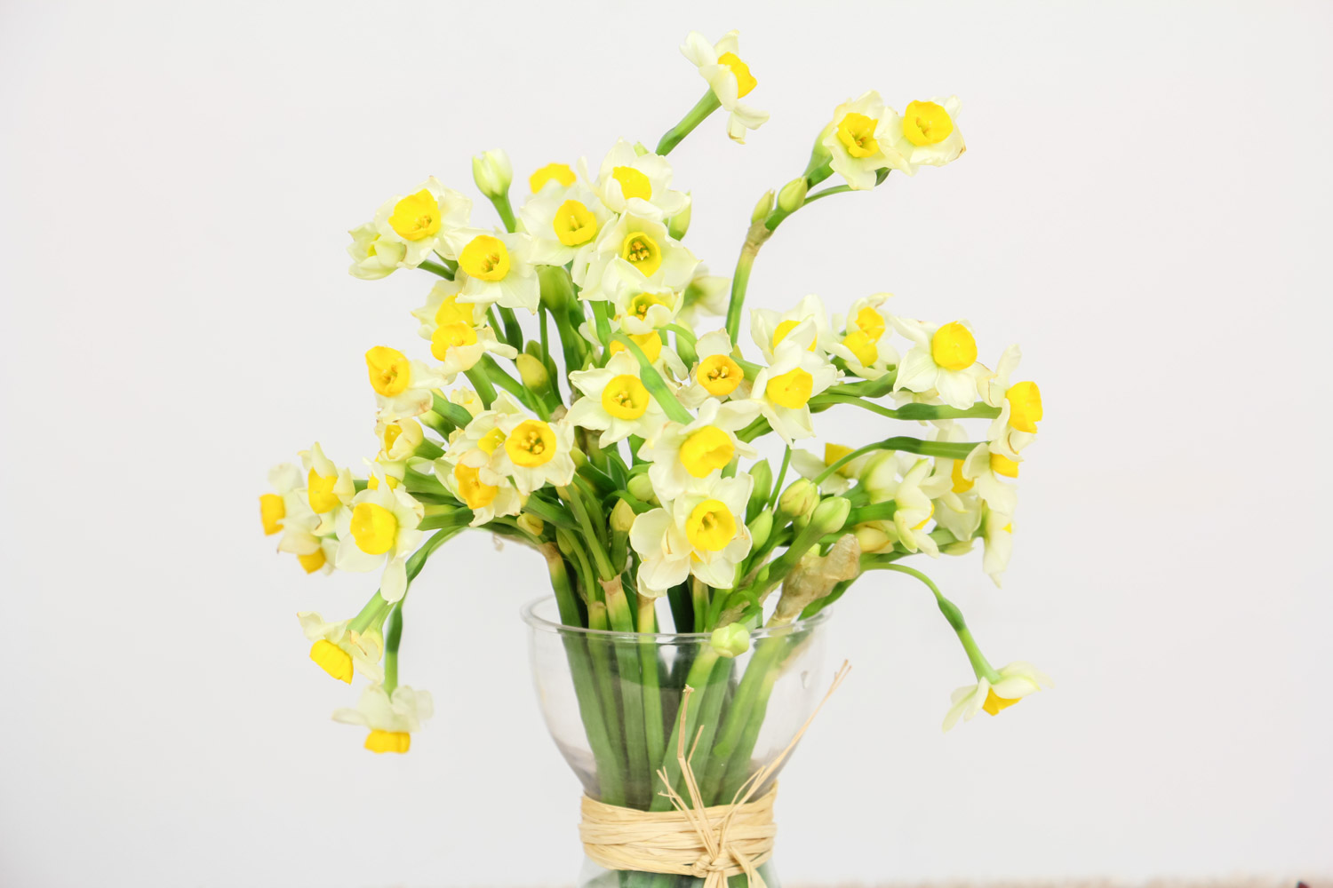 水仙花花苞蔫了怎么办