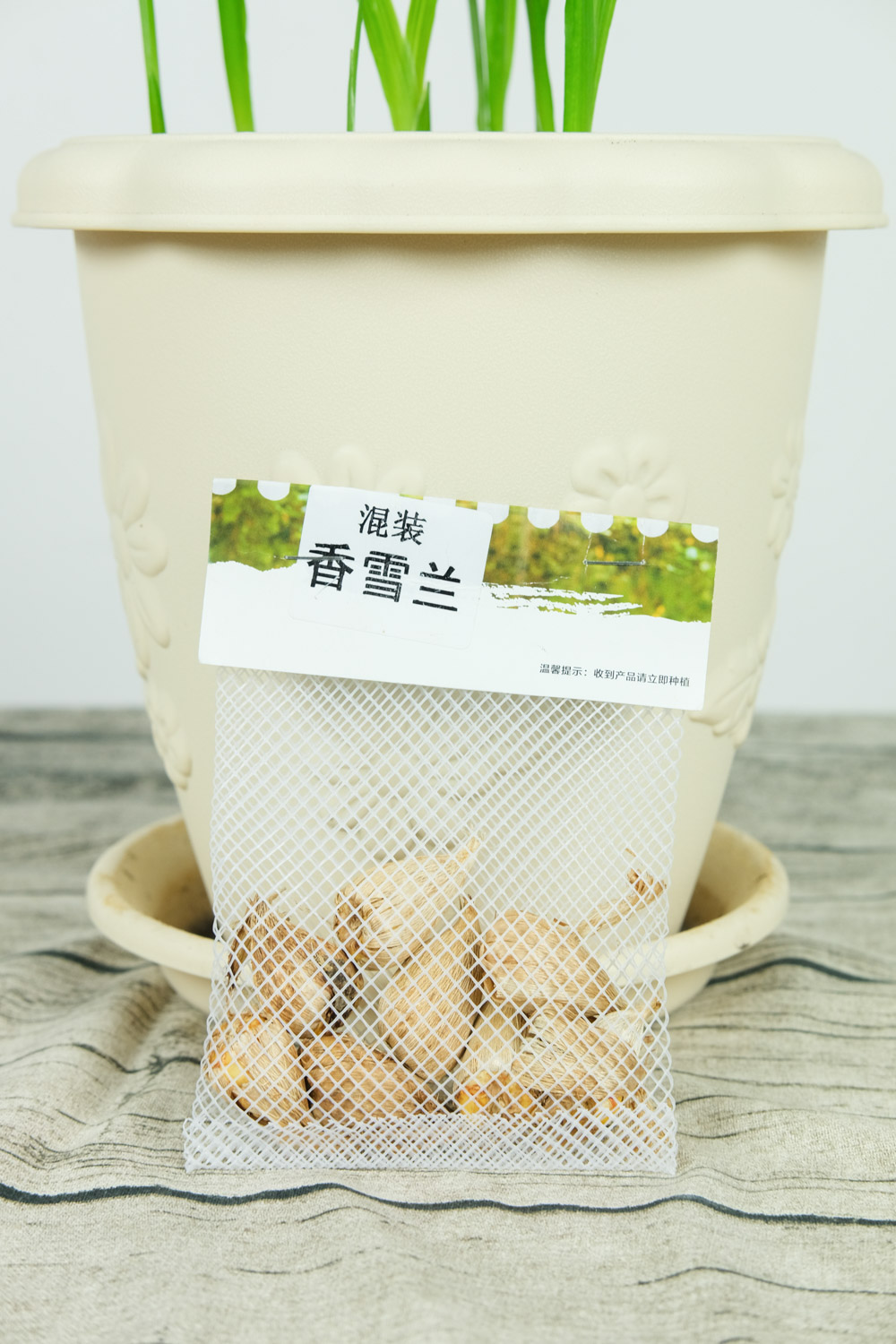 香雪兰徒长怎么办
