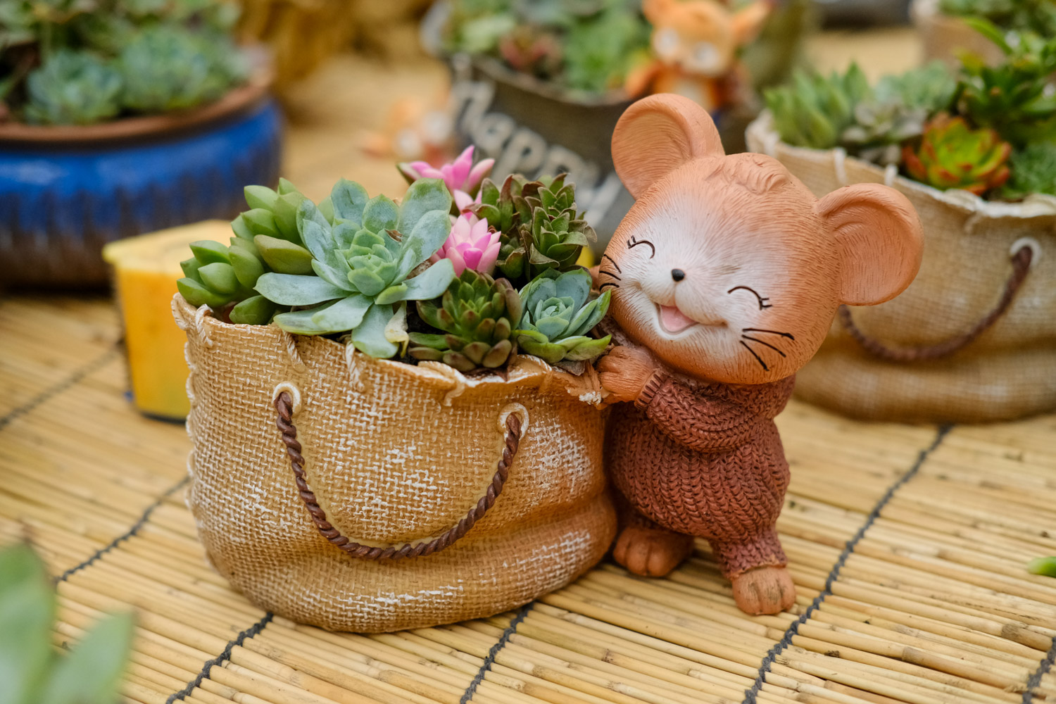 DIY多肉植物铺面石
