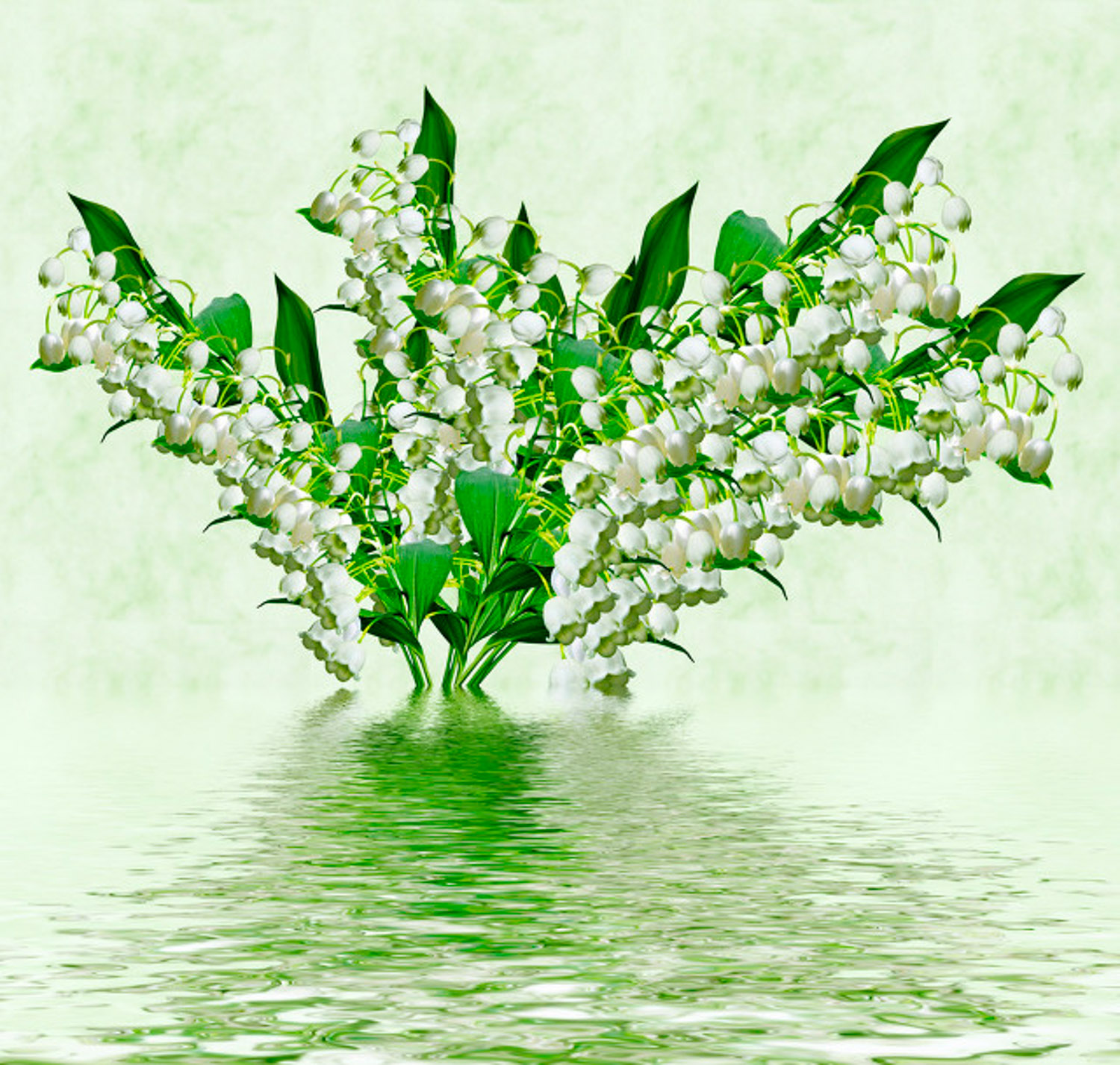 铃兰花语是什么