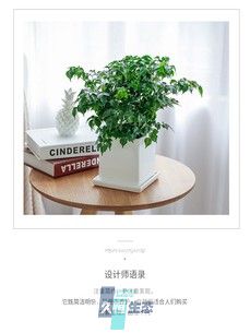 小幸福树