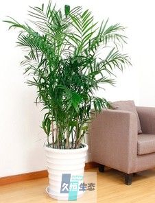 夏威夷